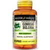 Ginkgo Biloba Standardized Extract 60 mg