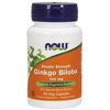 Ginkgo Biloba 120 mg, Standardized Extract