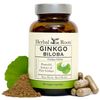 Ginkgo Biloba