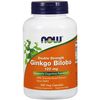 Ginkgo Biloba 120 mg, Standardized Extract, Value Size