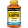 Glucosamine & Chondroitin 500 Complex