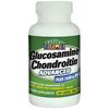 Glucosamine Chondroitin Advanced Plus MSM