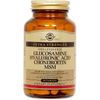 Glucosamine Hyaluronic Acid Chondroitin MSM Shellfish-Free