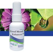Good Mood Enhancer, 2 oz, King Bio Homeopathic (KingBio)