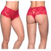 Goodnight Kiss Lace Crotchless Boyshort, Red, 1X/2X