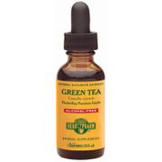 Green Tea Glycerite Liquid, 1 oz, Herb Pharm