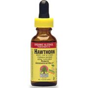 Hawthorn Extract Liquid 2 oz from Nature's Answer