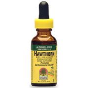 Hawthorn Extract Liquid Alcohol Free 1 oz from Nature's Answer