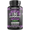 CBD Elderberry Gummies, Immunity Boost
