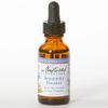 Herbal Tincture, Immunity Builder