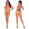 High Neck Fence Net Long Sleeve Bodysuit with Snap Crotch Thong Panty, One Size, Rainbow
