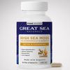 Great Sea Naturals Irish Sea Moss + Bladderwrack & Burdock