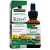 Kava 6 Alcohol-Free Extract Liquid