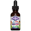 Kids Echinacea, Alcohol Free, Organic