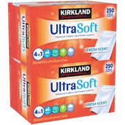 Kirkland Signature Fabric Softener Sheets, Fresh Scent, 250 Count x 2 Boxes
