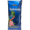 Guatemalan Whole Bean Coffee