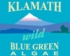 Klamath Blue Green Algae