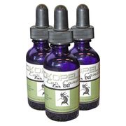 Kokopelli's Ear Oil 1 fl oz