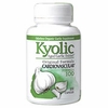 Kyolic Aged Garlic Extract Formula 100