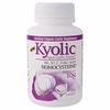 Kyolic Aged Garlic Extract Formula 108, Homocysteine