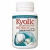 Kyolic One Per Day, Aged Garlic Extract 1000 mg