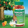 Immune C Plus Zinc & Echinacea for Children