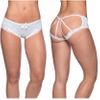 Lace Overlay Cage Panty, Blue, S/M