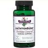 LactationBlend, Nursing Support