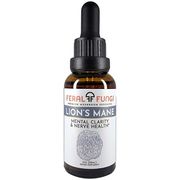 Lion's Mane, 1 oz, Feral Fungi