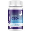 Liposomal CBD+ Good Night, 25 mg CBD + 3 mg Melatonin