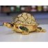 Lucky Turtle Gilt Jewelry Gift Box with Fine Crystals