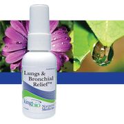Lungs & Bronchial Relief, 2 oz, King Bio Homeopathic (KingBio)