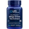 Mega Green Tea Extract - Decaffeinated