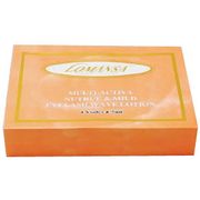 Mini Pro Lomansa Eyelash Wave Lotion Kit (Small Size)