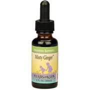 Minty Ginger Blend Alcohol-Free 1 oz from Herbs For Kids