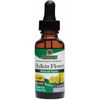Mullein Flower Ear Oil, Topical Formula