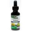 Mullein Leaf Alcohol Free Extract Liquid