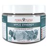 Myco-Synergy Mushroom Gummies