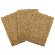 Non-Scratch Plant-Based Scouring Pads, 3 ct, Airnex