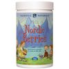 Nordic Berries, Multi-Vitamin Gummies, Value Size