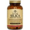 Oceanic Silica, From Red Algae