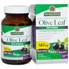 Olive Leaf Extract Standardized