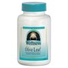 Olive Leaf Extract (Wellness) 500mg