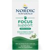 Focus Support (Formerly Omega Focus)