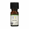 Organic Essential Oil Clove Bud