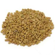 Organic Fenugreek Seed 1 lb, StarWest Botanicals