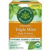 Organic Triple Mint Daily Probiotic Tea