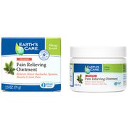 Pain Relieving Ointment, 2.5 oz, Earth's Care