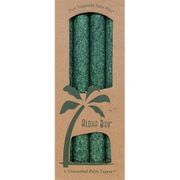 Palm Tapers 9 Inch, Unscented, Green, 4 Candles, Aloha Bay