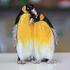 Penguin Couple Gilt Jewelry Gift Box with Fine Crystals